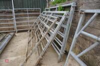 5 X 10' IAE GALVANISED CATTLE HURDLES - 4