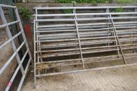 5 X 10' IAE GALVANISED CATTLE HURDLES - 5