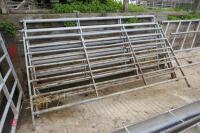 5 X 10' IAE GALVANISED CATTLE HURDLES - 7