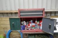 TOOL CUPBOARD, PAINTS ETC (60) - 2