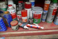 TOOL CUPBOARD, PAINTS ETC (60) - 3