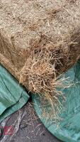 25 SQUARE BALES OF HAYLAGE - 4