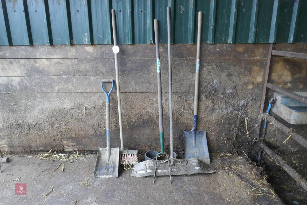 SCRAPER, FORK, SHOVELS, BRUSH(87)