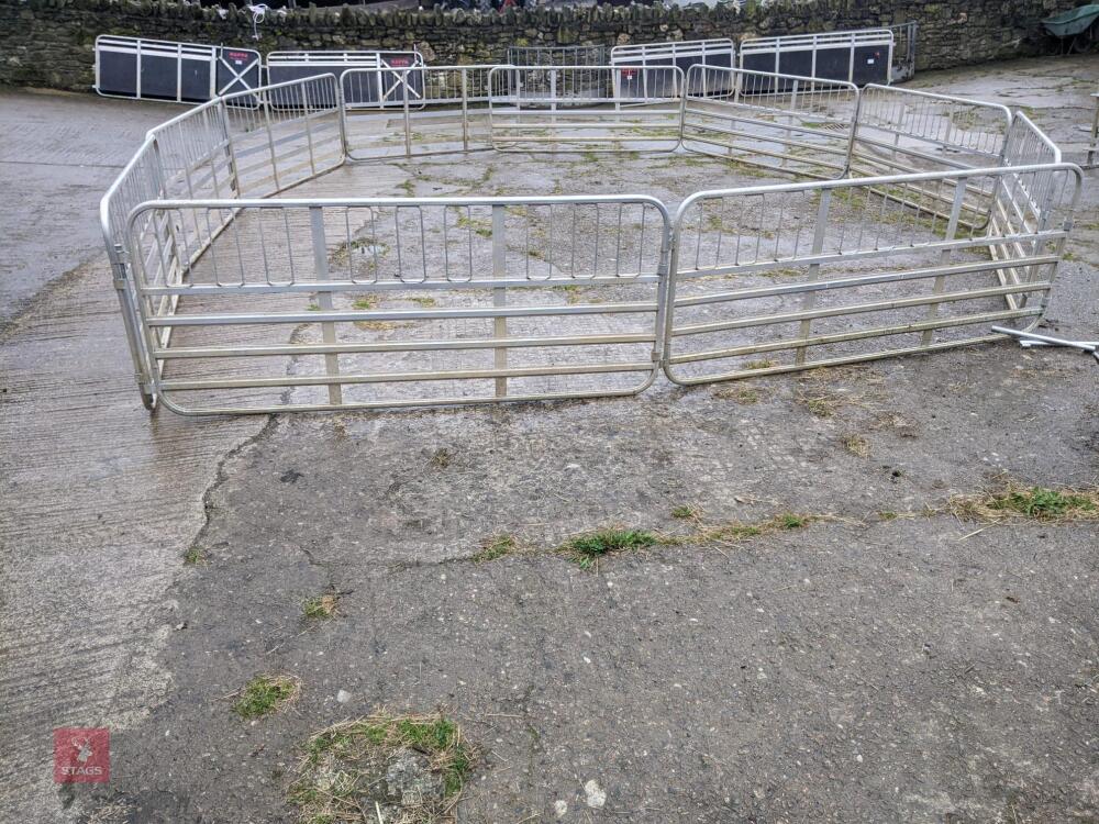 10 RAPPA HURDLES & PINS