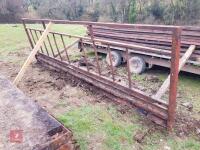 CATTLE FEED BARRIER 14'7'' V. HEAVY(11) - 2