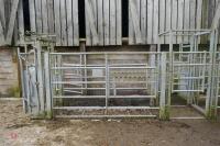 IAE 38' GALV CATTLE HANDLING SYSTEM - 2