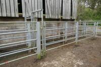 IAE 38' GALV CATTLE HANDLING SYSTEM - 3