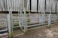 IAE 38' GALV CATTLE HANDLING SYSTEM - 9