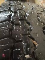 BKT INDUSTRIAL TURF TYRES - 4