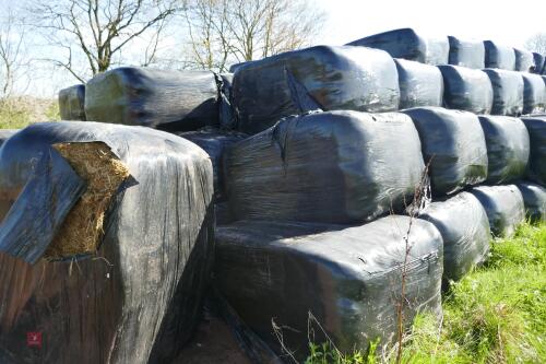 20 RECTANGULAR BALES OF SILAGE