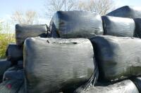 20 RECTANGULAR BALES OF SILAGE - 3