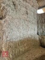 25T LARGE RECTANGULAR BALES OF HAY