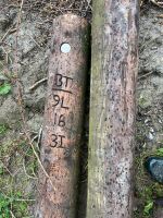 3 X TELEGRAPH POLES - 5