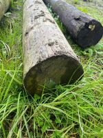 3 X TELEGRAPH POLES - 8