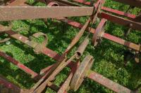 14' SPRING TINE CULTIVATOR - 3