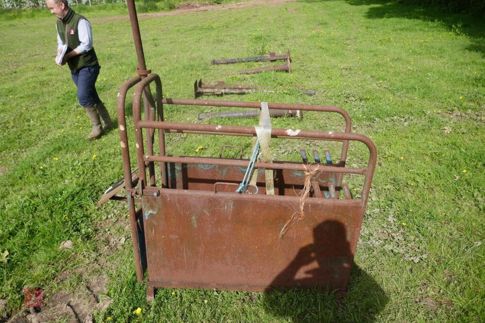 CALF DE-HORNING CRATE