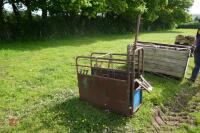 CALF DE-HORNING CRATE - 2