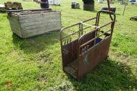 CALF DE-HORNING CRATE - 3