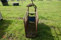 CALF DE-HORNING CRATE - 4