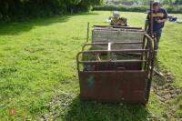 CALF DE-HORNING CRATE - 5