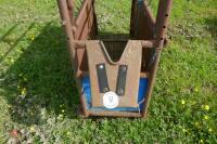 CALF DE-HORNING CRATE - 9