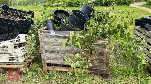 CRATE OF ASSORTED BLACK PLANT POTS