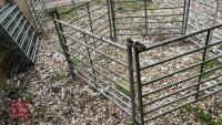 5 X 4' GALVANISED SHEEP HURDLES - 4