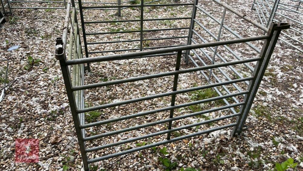 4 X 4' GALVANISED SHEEP HURDLES