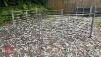 5 X 6' GALVANISED SHEEP HURDLES - 2