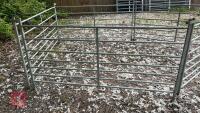 5 X 6' GALVANISED SHEEP HURDLES - 3