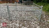 5 X 6' GALVANISED SHEEP HURDLES - 7