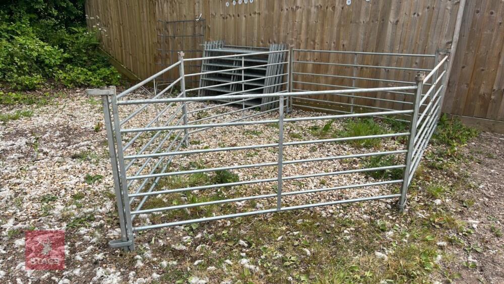 5 X 6' GALVANISED SHEEP HURDLES