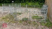 5 X 6' GALVANISED SHEEP HURDLES - 6