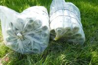 2 BAGS OF 100 NEW 58CM TREE GUARDS - 3