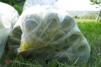 2 BAGS OF 100 NEW 58CM TREE GUARDS - 4