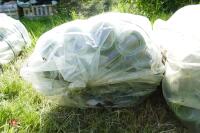 2 BAGS OF 100 NEW 58CM TREE GUARDS - 4