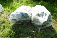 2 BAGS OF 100 NEW 58CM TREE GUARDS - 5