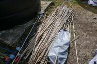 APPROX 300 USED 6' BAMBOO CANES - 2