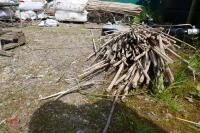 APPROX 300 USED 6' BAMBOO CANES - 3