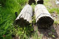 2 BUNDLES OF 500 NEW 35 BAMBOO CANES" - 2