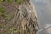 APPROX 700 USED 34 BAMBOO CANES" - 4