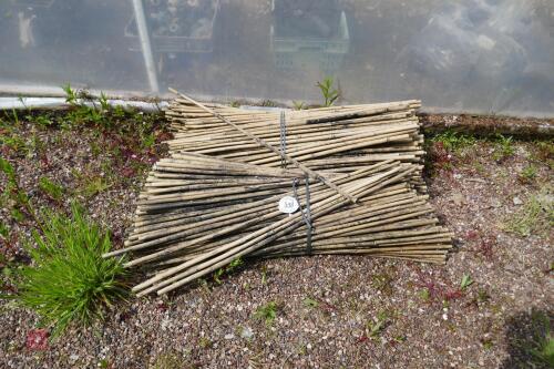 APPROX 500 USED 34 BAMBOO CANES"