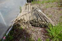 APPROX 500 USED 34 BAMBOO CANES" - 2