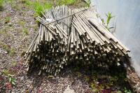 APPROX 500 USED 34 BAMBOO CANES" - 3