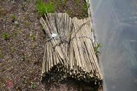 APPROX 500 USED 34 BAMBOO CANES" - 4