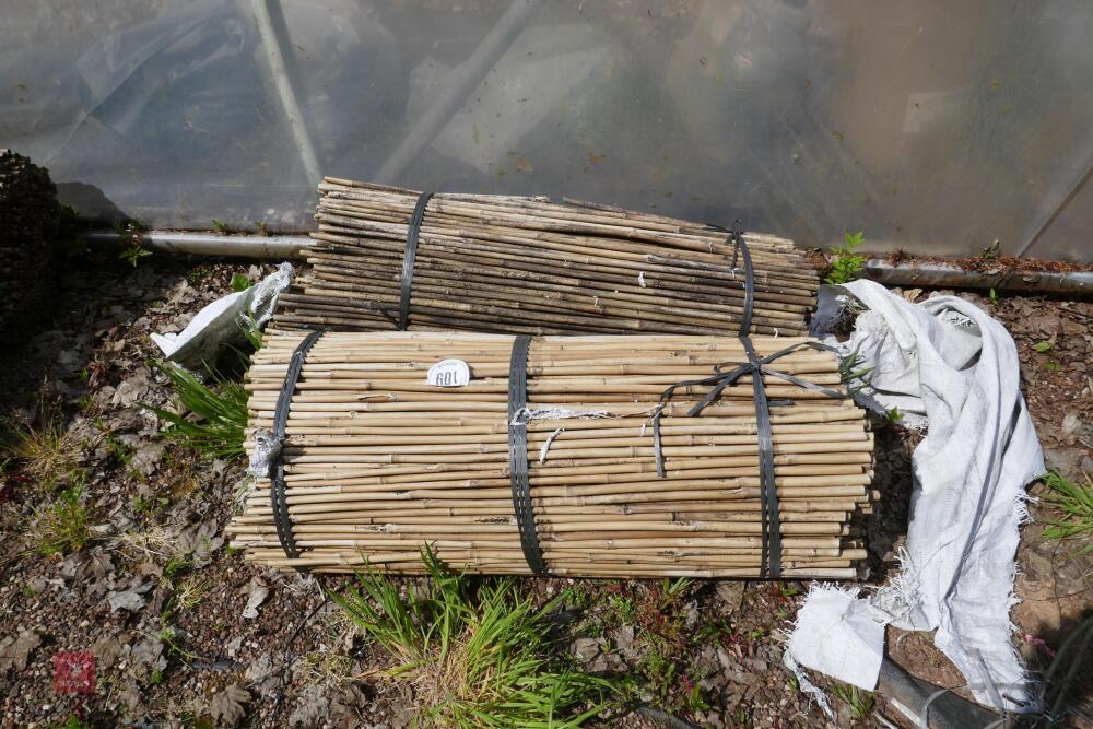 2 BUNDLES OF 500 NEW 35 BAMBOO CANES"