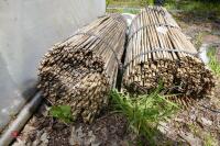 2 BUNDLES OF 500 NEW 35 BAMBOO CANES" - 2