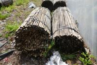 2 BUNDLES OF 500 NEW 35 BAMBOO CANES" - 3