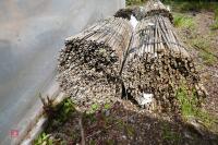 2 BUNDLES OF 500 NEW 35 BAMBOO CANES" - 4