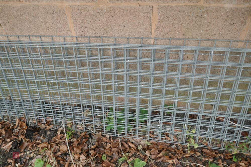 5 SHEETS OF 10' X 2' WIRE MESH